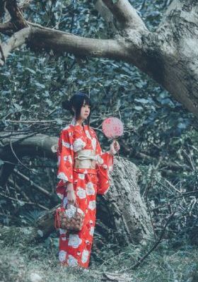 红桃梅花电视剧全集40集免费观看_剧情片手机在线观看